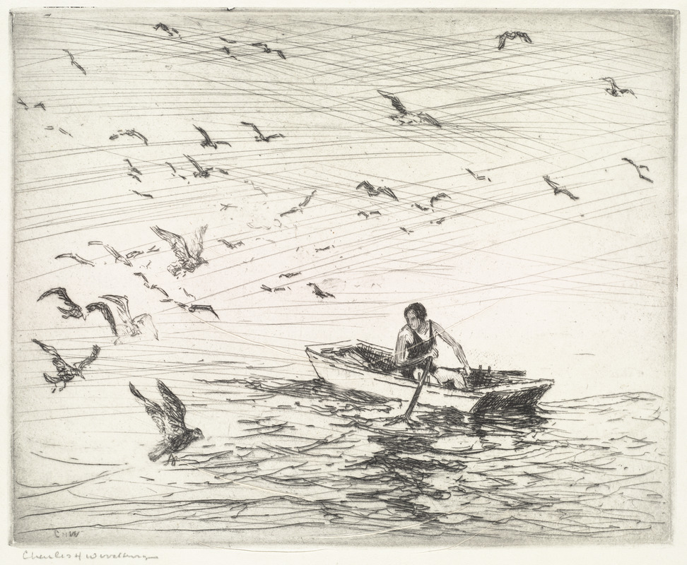 Gulls with girl in boat