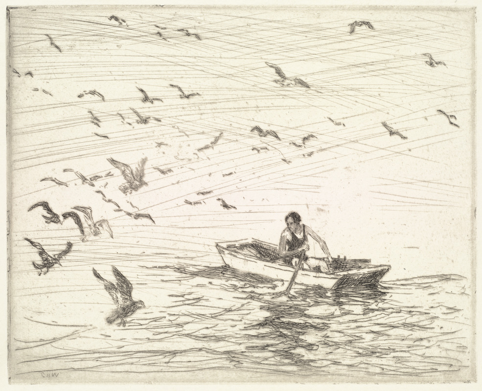 Gulls with girl in boat