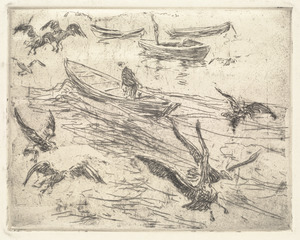 Gulls with boats