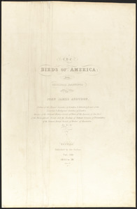 The birds of America