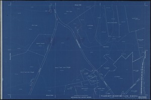 Metropolitan Water Works, Wachusett Reservoir, land surveys, sheet 205, index plan to photographs of real estate, West Boylston, Mass., June 1898