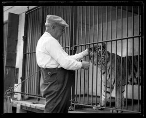 Man petting a tiger in a cage