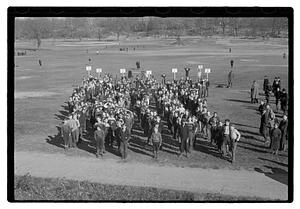 Egg hunt, Franklin Park
