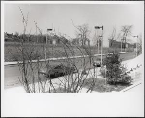 Madison Park Court, Roxbury, Boston