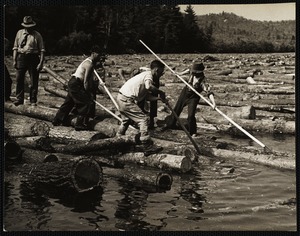 Maine log drive on the Saco River Hiram, Me