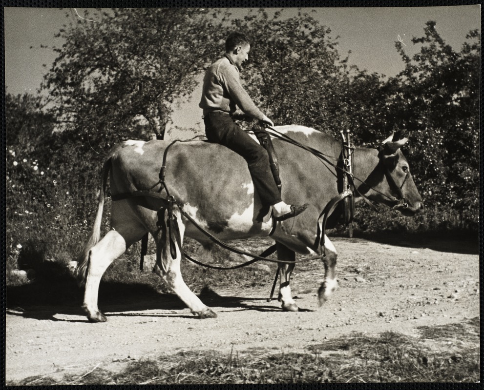 New Harbor, ME Digital Commonwealth