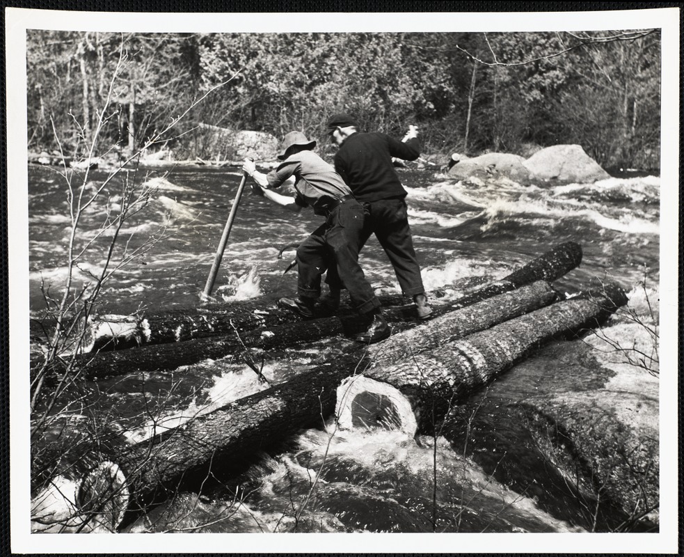 Log drive a1 Digital Commonwealth