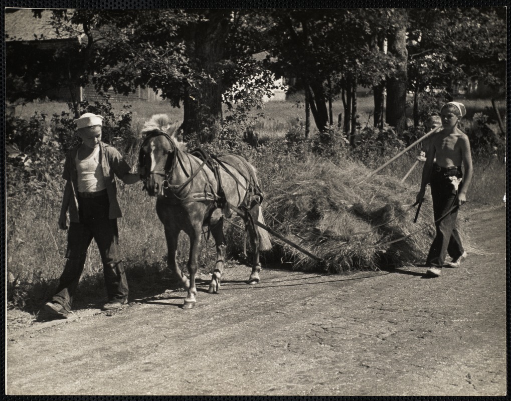 Round Pond, ME. Hay Hoards. L to R: Douglas Leeman of Fall River leading the pony, and Gordon and Kendall Fossett of Round Pond, Maine