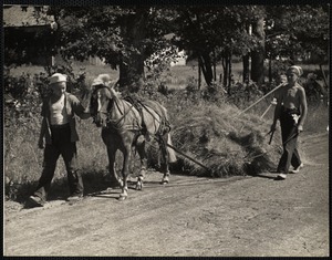Round Pond, ME. Hay Hoards. L to R: Douglas Leeman of Fall River leading the pony, and Gordon and Kendall Fossett of Round Pond, Maine