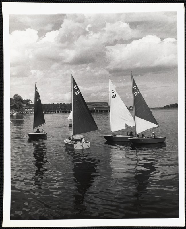 Turnabout fleet. Camden, Maine.