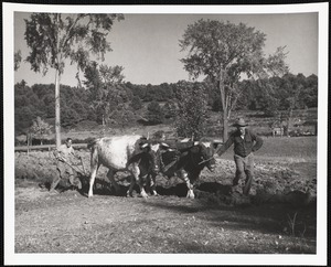 Plowing field - Casco, Maine. Henry P. Watkins - driver. Raymond Guilbault.