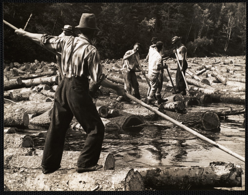 Log drive- Saco River 1