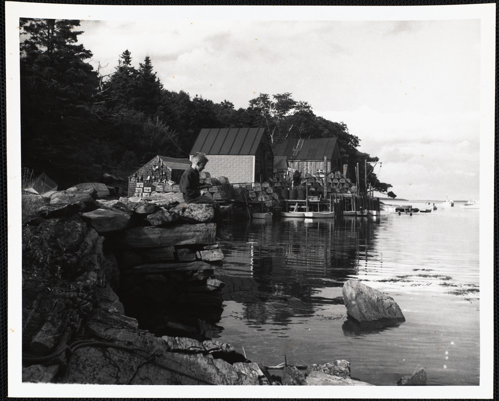 Back Cove - Maine