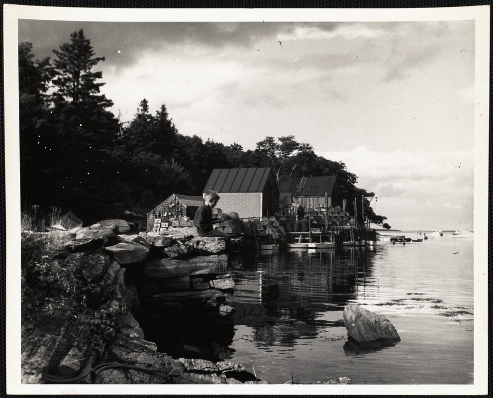 Back Cove, New Harbor, Maine