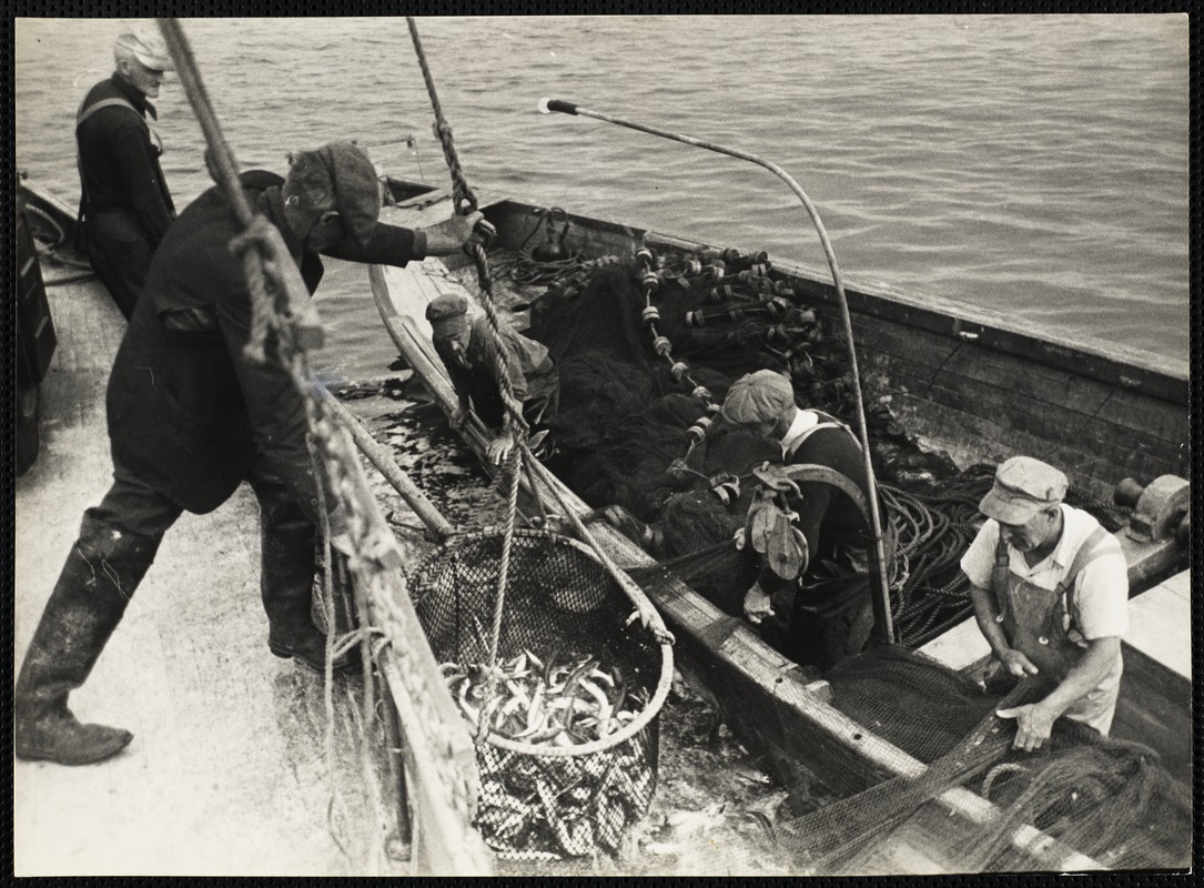 Mackeral fishing - Maine 1944
