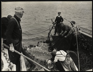 Mackerel fishing Maine