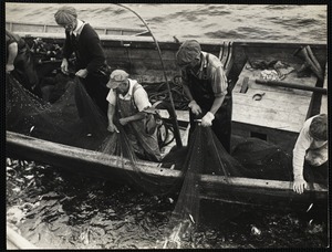 Mackerel fishing - Maine