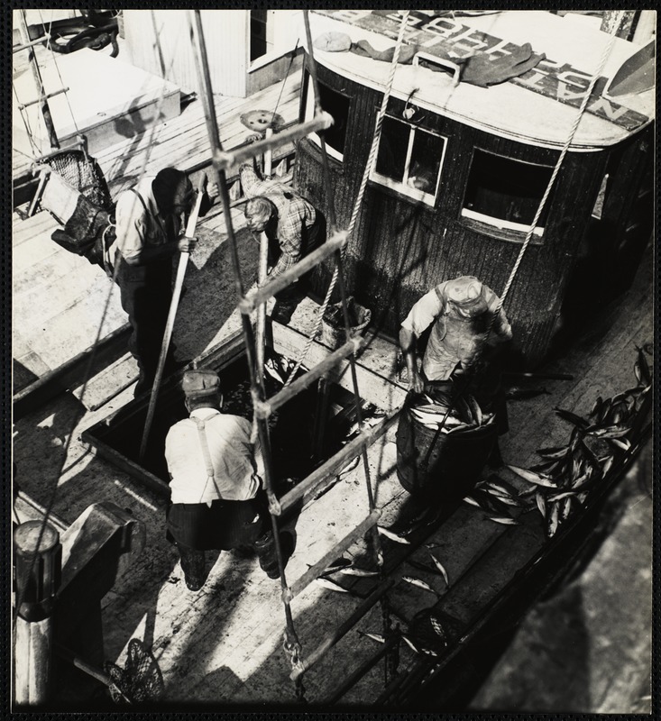 Mackeral fishing - Maine 1944