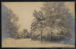 Pine Ridge Road Waban in winter