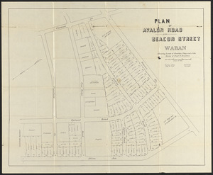 Plan of Avalon Road and Beacon Street Waban