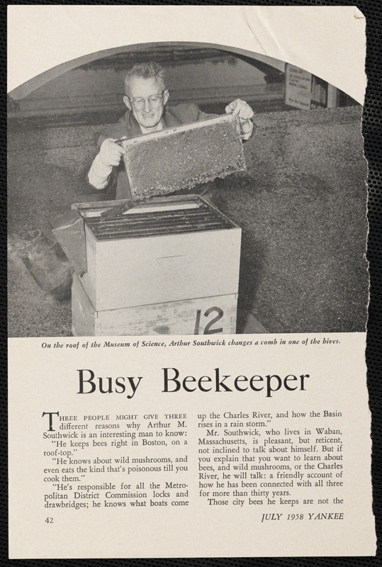 Busy beekeeper