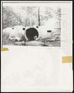 (Top frame) Shown is foam plastic structure designed and built by a Yale Univ., School of Architecture design team for the King Korn Stamp Company. (Bottom frame) Students are shown in the cocoon of womb-house interior. The cocoon interior promises a brave new world in future habitation with the use of adaptable plastic materials