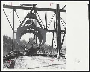 "The Jaws That Bite" -- Tremendous jaws of this log unloader, mounted on a trestle, can remove a load of giant logs from a truck or railroad car in once bit. It's shown in operation at the Pacific Lumber Co. in Scotia, Calif.