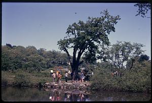 Group of people standing by a body of water, tree in center