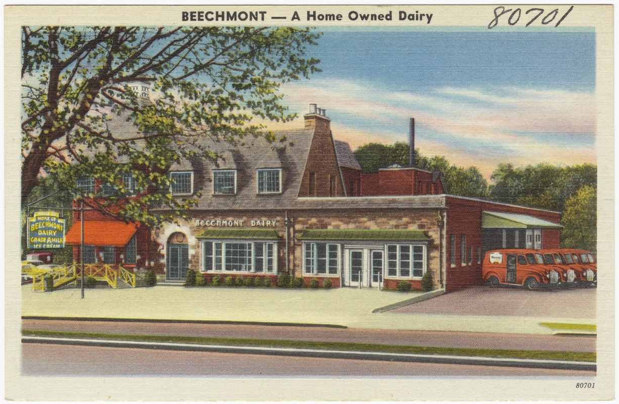 Beechmon -- A home owned dairy