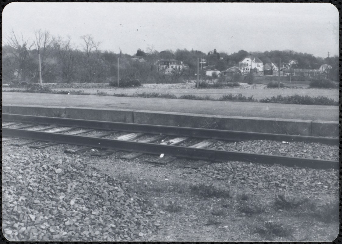 Black and white photograph of landscape (plant, train tracks)