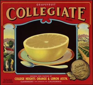 Grapefruit Collegiate Brand. Grown and packed by College Heights Orange & Lemon Ass'n., Claremont California, Los Angeles Co.
