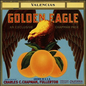 Golden Eagle, an exclusive Chapman pack. Valencias, grown and packed by Charles C. Chapman, Fullerton California, Orange County