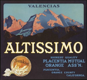 Altissimo. Valencias, highest quality, Placentia Mutual Orange Ass'n, Placentia, Orange County, California