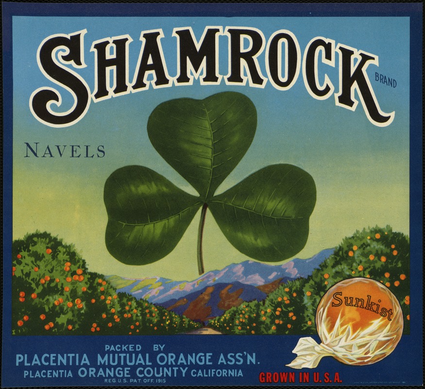 Shamrock Brand. Navels, packed by Placentia Mutual Orange Ass'n., Placentia California, Orange County