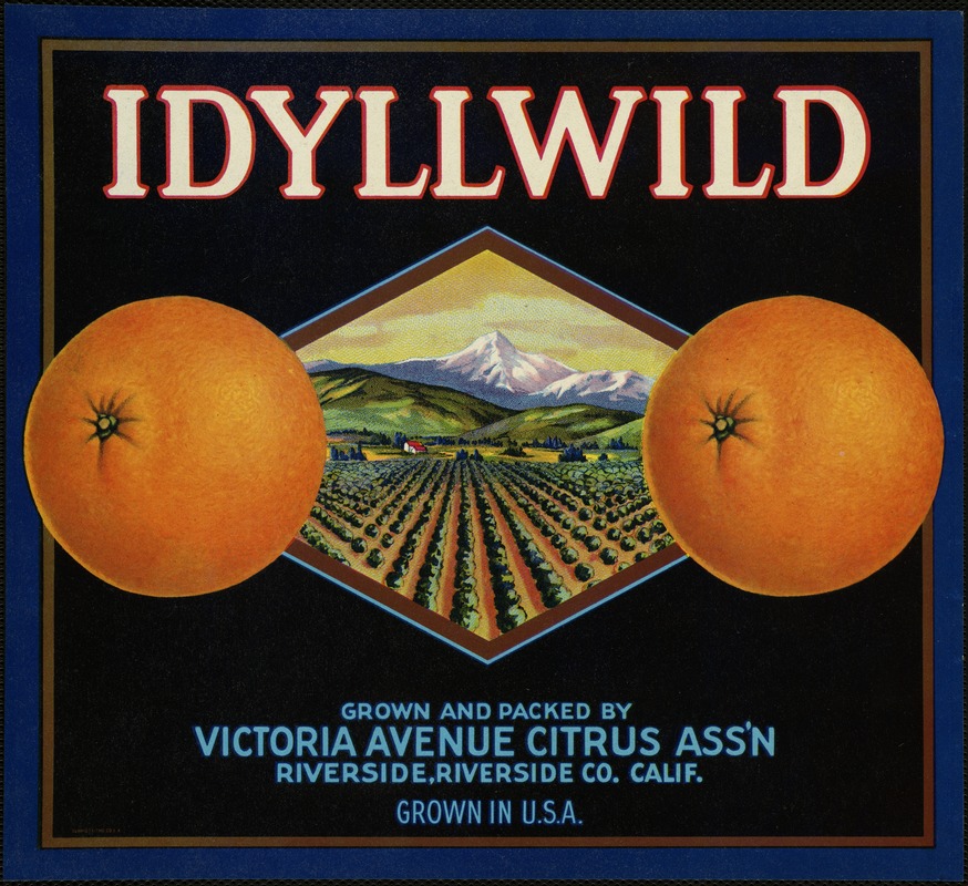 Idyllwild. Grown and packed by Victoria Avenue Citrus Ass'n, Riverside, Riverside Co. Calif.