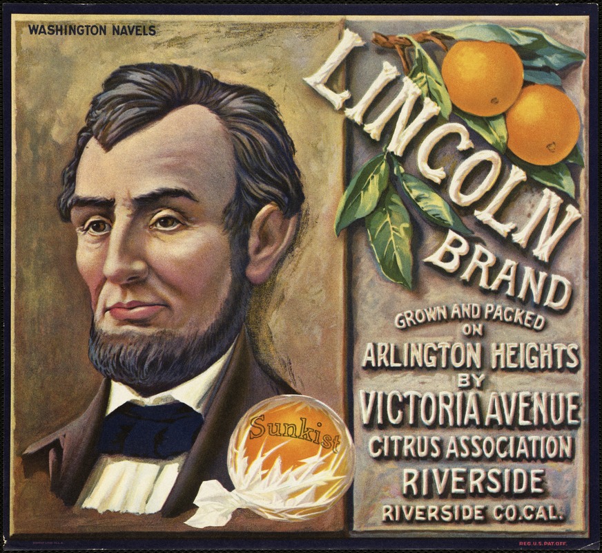 Lincoln Brand. Washington navels, grown and packed on Arlington Heights by Victoria Avenue Citrus Association, Riverside, Riverside Co. Cal.