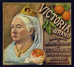 Victoria Brand. Grown and packed on Arlington Heights by Victoria Avenue Citrus Association, Riverside, Riverside Co. Cal.