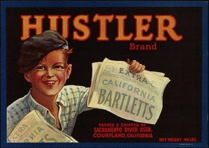 Hustler Brand. California Bartletts, packed & shipped by Sacramento River Assn., Courtland, California