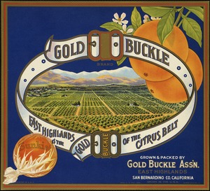 Gold Buckle Brand. Grown & packed by Gold Buckle Ass'n., East Highlands California, San Bernardino Co.