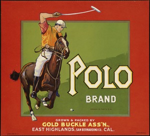 Polo Brand. Grown & packed by Gold Buckle Ass'n., East Highlands, Cal., San Bernardino Co.