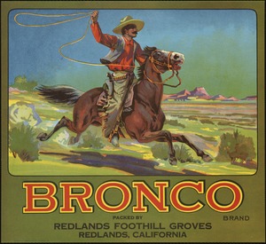 Bronco Brand. Packed by Redlands Foothill Groves, Redlands, California