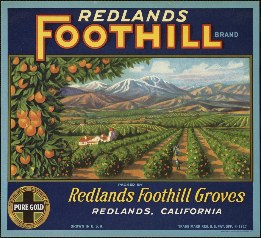 Redlands Foothill Brand. Packed by Redlands Foothill Groves, Redlands, California