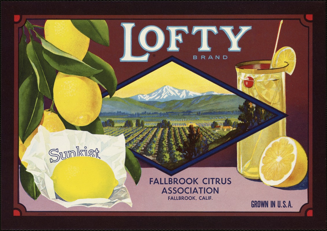 Lofty Brand. Fallbrook Citrus Association, Fallbrook, Calif.