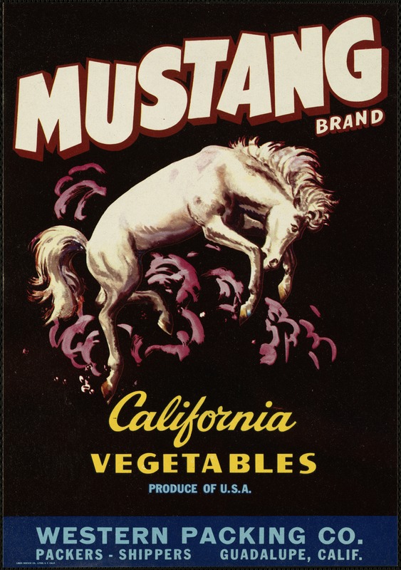 Mustang Brand. California vegetables, Western Packing Co. packers - shippers, Guadalupe, Calif.