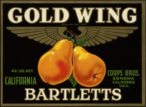 Gold Wing. California Bartletts, Coops Bros., Sonoma California U.S.A.