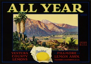 All year. Ventura County lemons, Fillmore Lemon Ass'n, Fillmore, California, U.S.A.