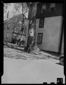 Praying boy sign on tree, Salem, Massachusetts