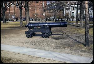 Cannon, Cambridge, Massachusetts