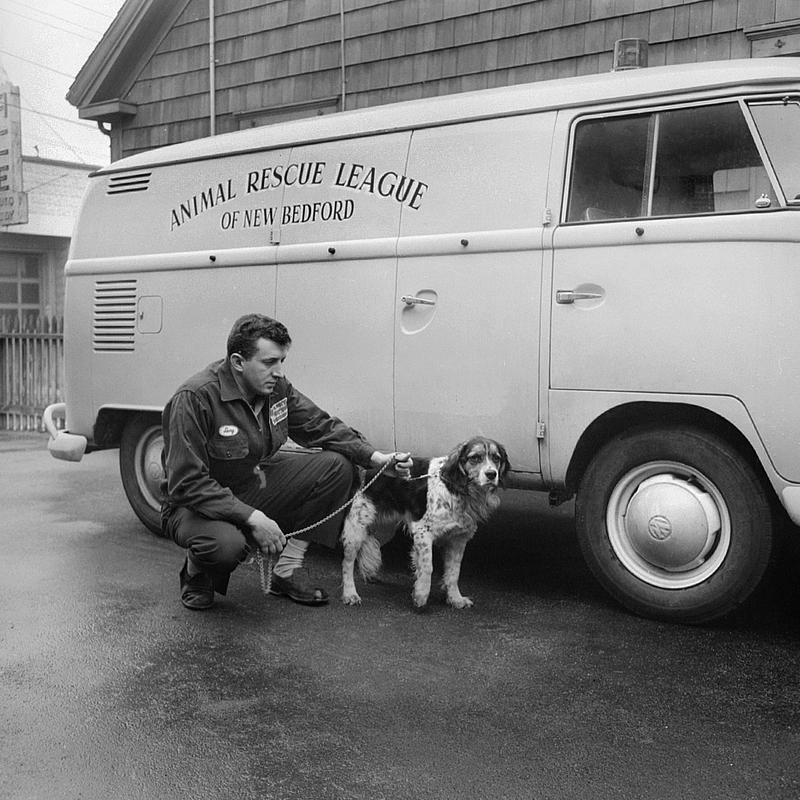 Animal Rescue League, Hillman Street, New Bedford Digital Commonwealth