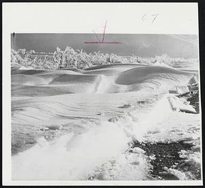 There's Snow in Iowa, too, as shown in this picture. After late fall snow a few days ago, small drifts formed patterns as frost laced bushes for decorative effect. Scene is near Pocahontas, Iowa.